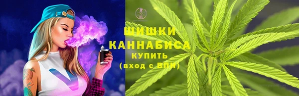 молекула духа Нефтегорск