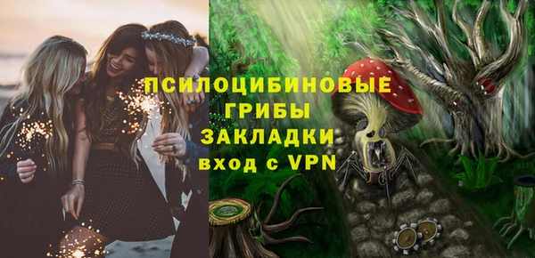 spice Абаза