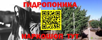 мдма Гусев