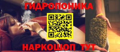 крисы Апрелевка