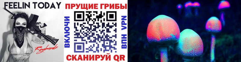 Псилоцибиновые грибы Psilocybine cubensis  Москва 