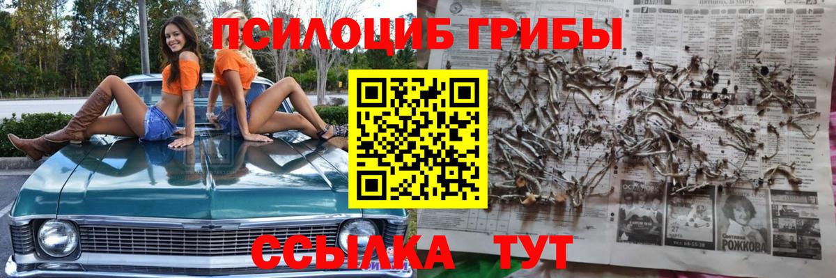 Галлюциногенные грибы MAGIC MUSHROOMS Москва