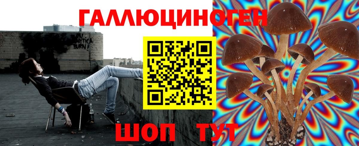 Псилоцибиновые грибы Magic Shrooms  Москва 