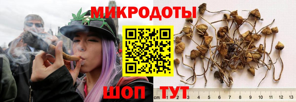 Псилоцибиновые грибы Cubensis  Вход с VPN  даркнет сайт  Москва 